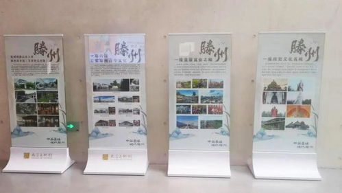 大哉乾元——滕州館藏精品全國巡展江蘇太倉站啟幕，同期開展藝術舞蹈輔導服務